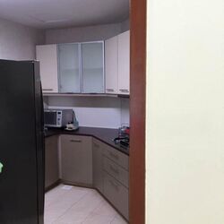 The Aston (D10), Apartment #552163581